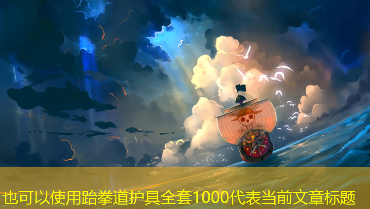 跆拳道护具全套1000