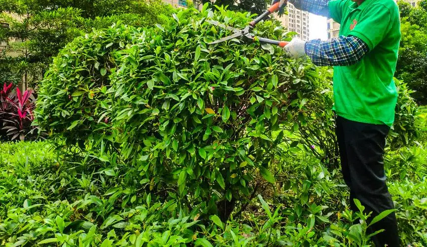 米乐m6官网：网球拍初阶与进阶的区别