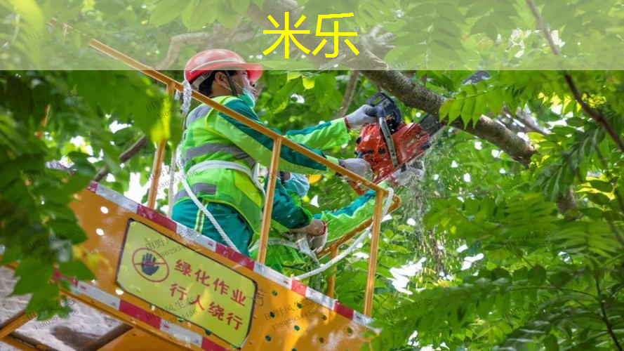 如何挑选比较专业的网球拍