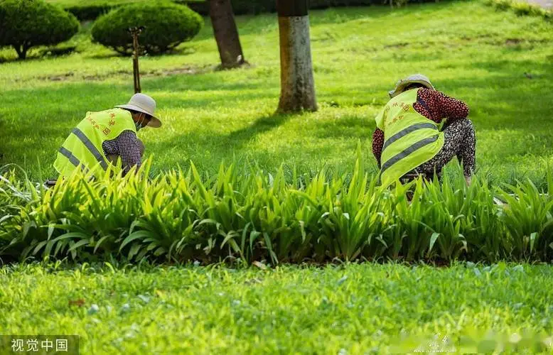 米乐：升级你的运动场，遵守塑胶跑道材料验收规范