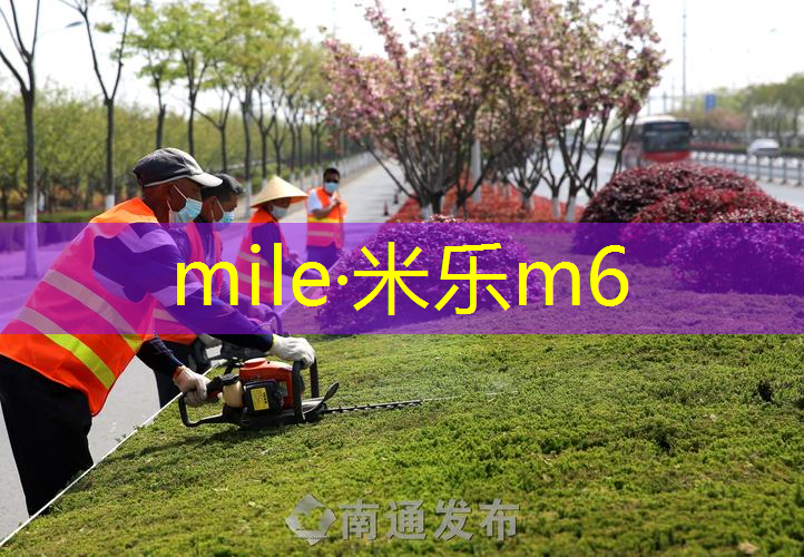 灵活、耐用，塑胶跑道材料征服运动场馆