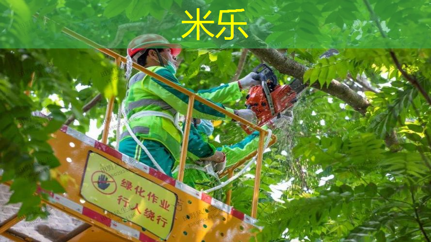 米乐m6官网登录入口：二纤乒乓球台