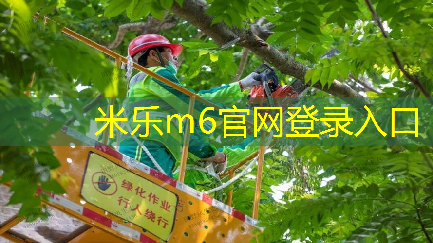 米乐m6官网：冒险历程，难以割舍！儿童滑梯高度给孩子们带来温暖和欢笑！