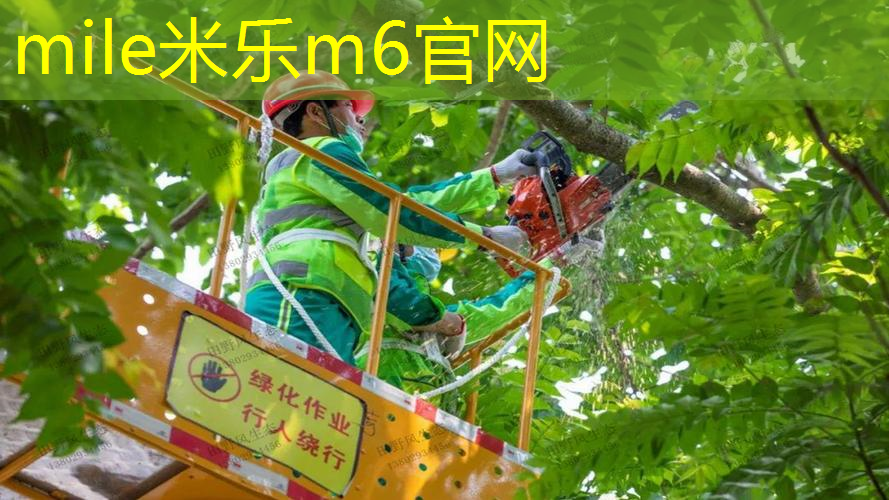 mile·米乐m6：乒乓球台油漆味散不掉