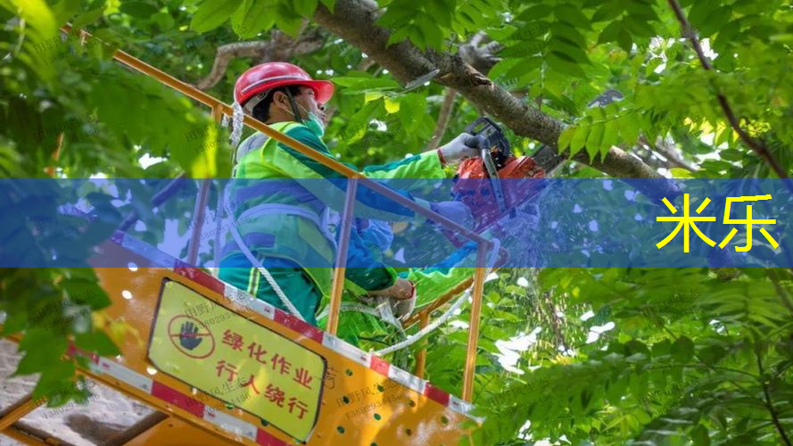 米乐m6官网：实心球 竞技运动