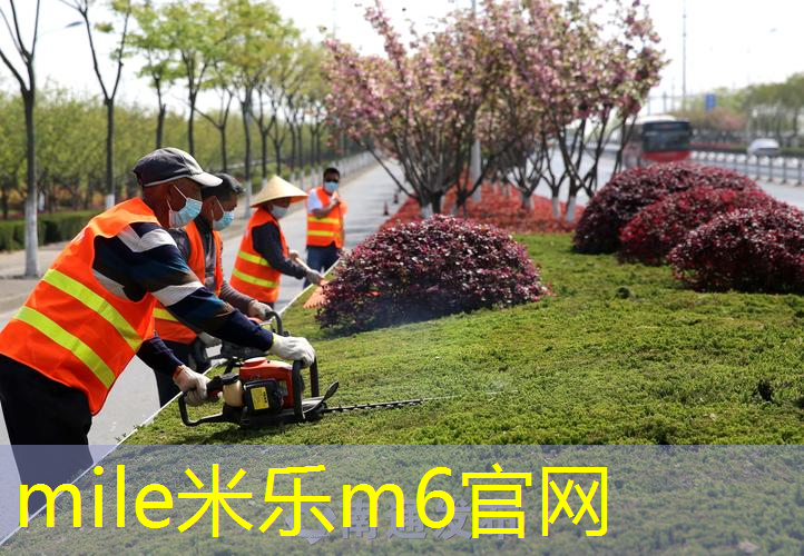 网球拍面用什么颜料刷