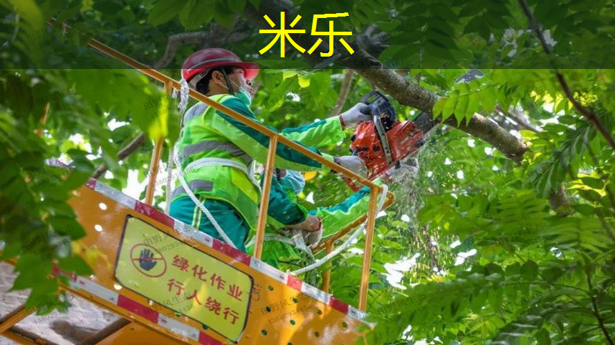 网球拍怎么打出来的
