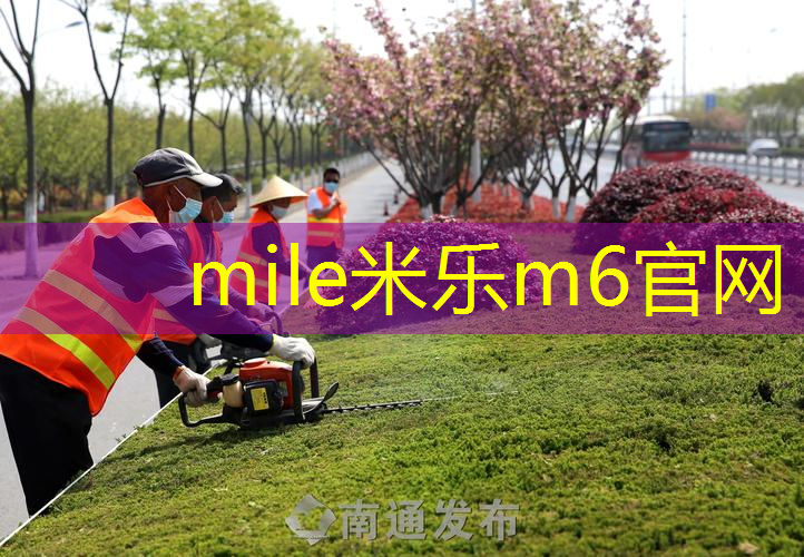灵活、耐用，塑胶跑道材料征服运动场馆