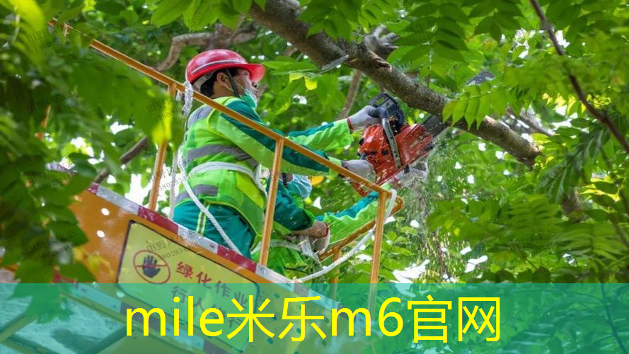 女生室内健身运动锻炼