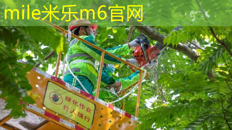 冒险历程，难以割舍！儿童滑梯高度给孩子们带来温暖和欢笑！