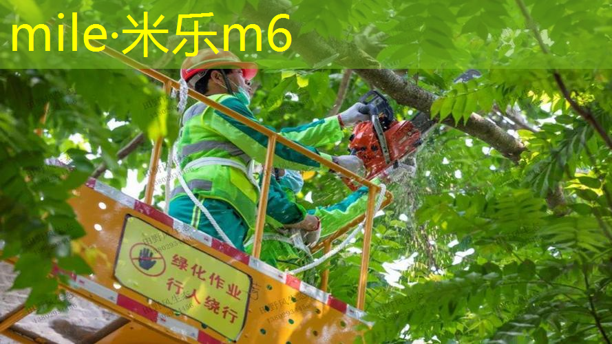 乒乓球台油漆味散不掉