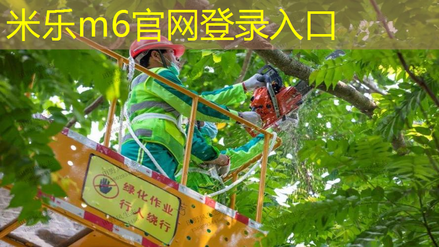 乒乓球台修复技巧